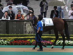 2141012 東京2R シーユーアゲン 06