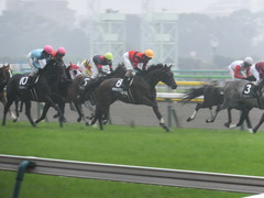 20141012 東京10R レジェンドTC オウケンブラック 11