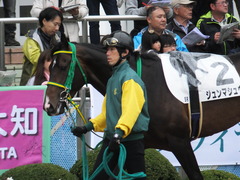 20170408 中山5R 3歳未勝利 ジュンマシュウ 06