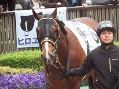 20190427 東京12R (1000) ノーモアゲーム 10