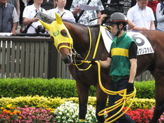 20160612 東京12R 3歳上500万下 ノーブルクリスタル 05