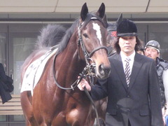 20130202メリーウェザー