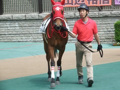 20190512 東京1R 3歳未勝利 ハクシンドリーム 04