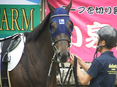 20180617 東京3R 3歳未勝利 ダノンシャレード 12