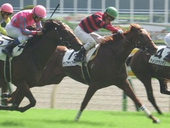 20181006 東京3R 2歳未勝利 ヤップヤップヤップ 18