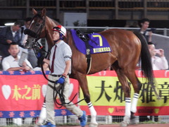 20180919 東京記念(S1) ユーロビート 06