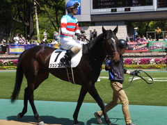 20150426 東京1R 3歳未勝利 ジュンコアー 10