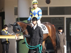 20150112 中山5R 3歳未勝利 ロジダーリング 12