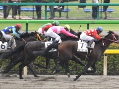 20150614 東京3R 3歳未勝利 コスモポッポ 13