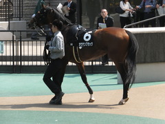 20160501 東京9R 陣馬特別(1000) オウケンブラック 08