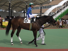 20150506 船橋競馬場 船橋10R 閃光S カベルネフラン 16