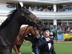 20160227 中山5R 3歳メイクデビュー ツボミ 09