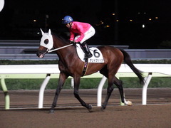 20180919 セプテンバーS B1B2 サンドプラチナ 15