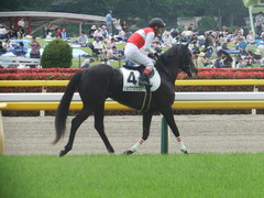 20190504 東京4R 3歳未勝利 ショウナンサジン 17