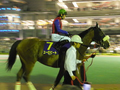20150624 大井11R 帝王賞(G1) ユーロビート 05
