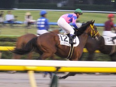 20161022 東京12R (1000) ノーモアゲーム 18