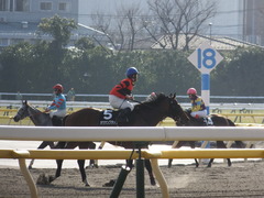 20150221 東京9R 4歳上1000万下 オウケンブラック 13