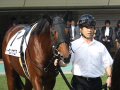 20141026 東京1R トーセンカナロア 06