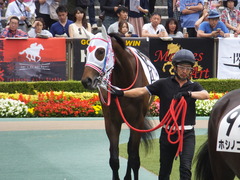 20170611 東京6R 2歳牝馬メイクデビュー サラート 10