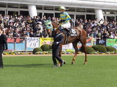 20150322 中山9R 幕張S(1600) アルマディヴァン 15
