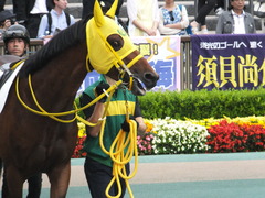 20160612 東京12R 3歳上500万下 ノーブルクリスタル 02