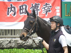 20190511 東京5R 3歳未勝利 ホウオウヒミコ 07