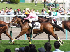 20150905 札幌8R 3歳上500万下 ツクバアスナロ 16