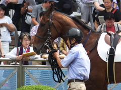 20160917 中山5R 2歳メイクデビュー メガポリゴン 08
