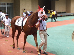 20160710 中京7R 3歳上500万下 レーヌドブリエ 09