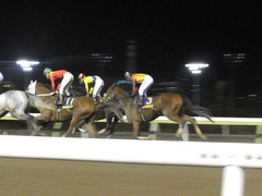 20171129 大井11R 勝島王冠(S3) ユーロビート 10