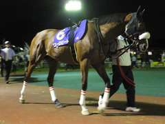 20150916 大井11R 東京記念(S2) ユーロビート 03