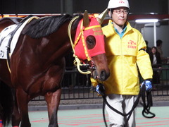 20181205 大井12R サジタリウス賞 B2 マイネルグルマン 11