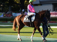 東京12R (1000) メイショウノボサン 15
