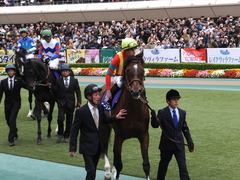 20161030 東京11R 天皇賞・秋(G1) モーリス 21