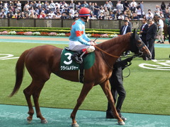 20161008 東京11R サウジアラビアRC(G3) クライムメジャー 16