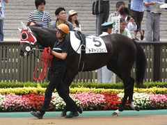 20140621 東京4R トマトリコピン 04
