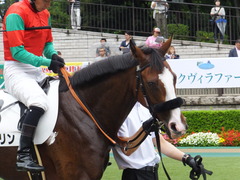 20170625 東京1R 3歳牝馬未勝利 プンメリン 21