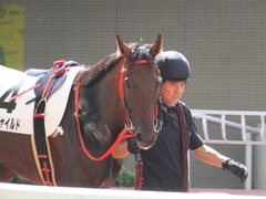 20170910 阪神3R 3歳未勝利 フェアチャイルド 08