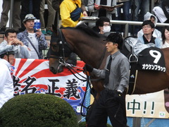 20160417 中山9R 鹿野山特別 1000万下 オウケンブラック 06