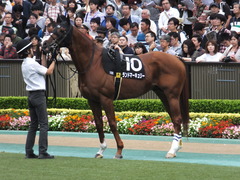 20161009 東京10R テレビ静岡賞(1600) ランドマーキュリー 10