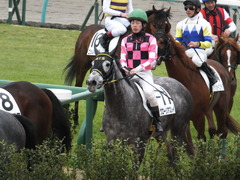 20150315 中山5R 3歳未勝利 グローリアスレイ 15