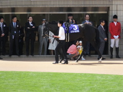20140504 京都11R 天皇賞春 サトノノブレス 03