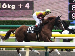 20161009 東京10R テレビ静岡賞(1600) ランドマーキュリー 12