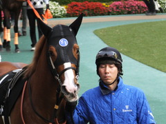 20151129 東京10R ウェルカムS アッシュゴールド 09