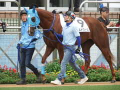 20180922 中山2R 2歳牝馬未勝利 ヴァルドワーズ 03