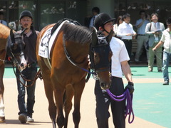 20140614 東京5R ジュンナカヤマ 01