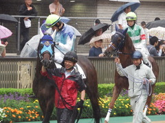 20180623 東京12R (500) アドマイヤシナイ 15