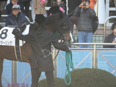 20150112 中山5R 3歳未勝利 ロジダーリング 10