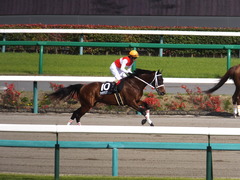 20150418 中山10R 下総S ショウナンアポロン 11