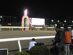 20140827 大井11R 重賞 メリーウェザー 08